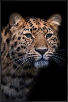 JUNIQE - Poster met kunststof lijst Waiting to Pounce -13x18 /Geel &