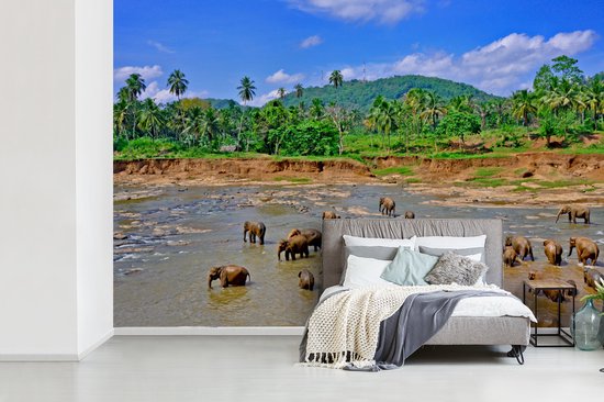 Vinyle Papier peint photo - Un groupe d'éléphants se baigner dans le flux Ma Oya dans Pinnawala sur Ceylan largeur 525 cm x hauteur 350 cm - impression sur le papier peint photo (disponible en 7 tailles)