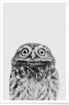 JUNIQE - Poster Owl Classic -30x45 /Wit & Zwart