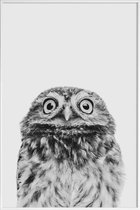 JUNIQE - Poster met kunststof lijst Owl Classic -30x45 /Wit & Zwart