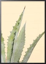 Poster Met Zwarte Lijst - Abstracte Cactus Poster