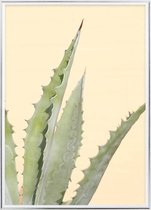 Poster Met Metaal Zilveren Lijst - Abstracte Cactus Poster