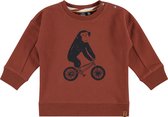 Babyface Sweatshirt Jongens Trui - Mahony - Maat 110