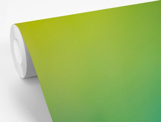 Papier peint photo peint photo vinyle - Pissenlit avec quelques graines largeur 525 cm x hauteur 350 cm - Tirage photo sur papier peint (disponible en 7 tailles)