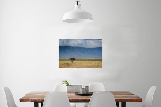 Autruche au milieu de la savanne du cratère du Ngorongoro en Tanzanie Poster 90x60 cm - Tirage photo sur Poster (décoration murale salon / chambre)