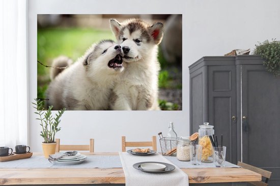 Poster Chiots jouant ensemble papier 180x120 cm - Tirage photo sur Poster (décoration murale salon / chambre) / Poster Animaux domestiques XXL / Groot format!