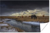 Poster Paarden - IJs - Gras - 30x20 cm