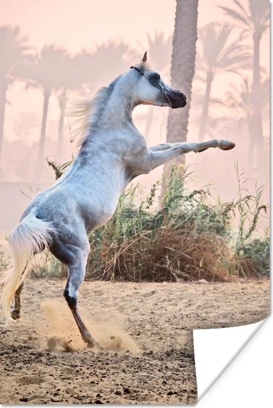 Poster 20x30 cm - Paarden - Zand -Palm - Posters - Kamer decoratie - Wanddecoratie woonkamer - Muurdecoratie slaapkamer
