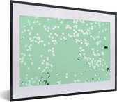 Confettis vert menthe