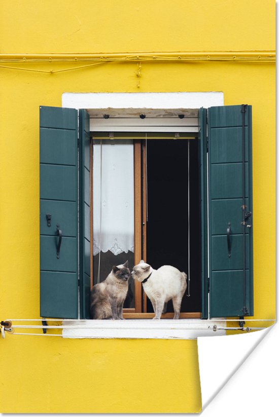 Twee katten in de vensterbank poster papier 120x180 cm - Foto print op Poster (wanddecoratie woonkamer / slaapkamer) / Huisdieren Poster XXL / Groot formaat!