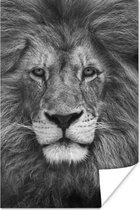 Perzische leeuw op zwarte achtergrond in zwart-wit poster papier 40x60 cm - Foto print op Poster (wanddecoratie woonkamer / slaapkamer) / Close-Up Poster