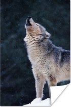 Loup hurlant gris 80x120 cm