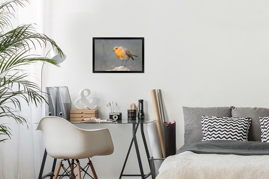 Cadre photo avec affiche - Vogel - Robin - Rocher - 30x20 cm - Cadre pour affiche
