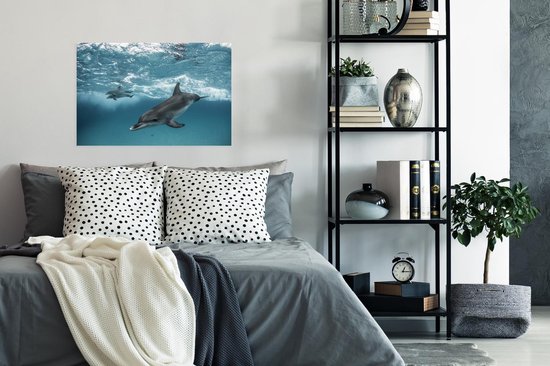 Affiche Dauphin - Water - Mer - 60x40 cm