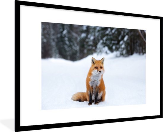 Fotolijst incl. Poster - Vos - Sneeuw - Bos - 90x60 cm - Posterlijst