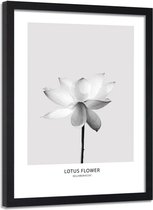 Foto in frame , Witte Lotusbloem ​, 80x120cm , Zwart wit  , Premium print