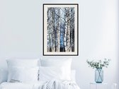 Poster - Winter Birch Trees-30x45