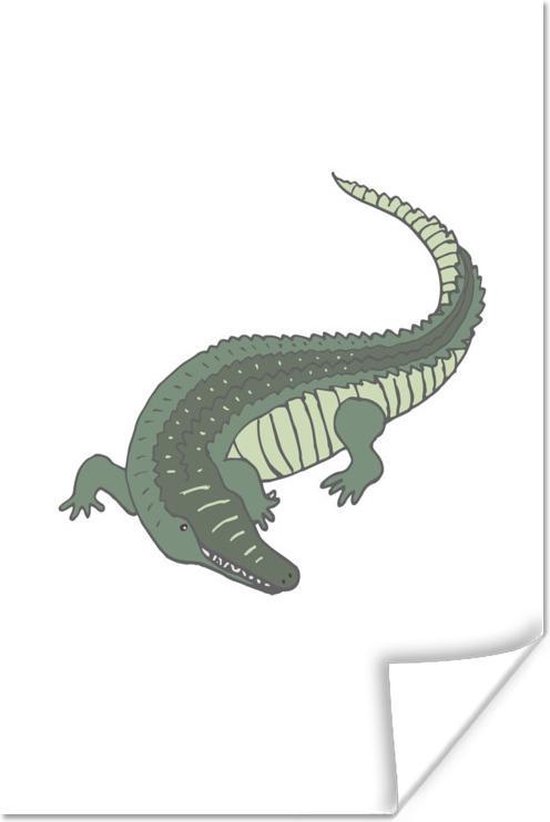 Poster Alligator - Kinderen - Kids - Jongens - Meisjes - 60x90 cm