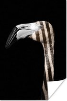 Portrait d'un flamant rose rayé sur fond noir 80x120 cm