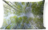 Buitenkussens - Tuin - Foto van het bos in de zomer - 50x30 cm