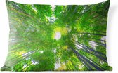 Buitenkussens - Tuin - Boomtoppen in het Bamboebos van Arashiyama - 50x30 cm