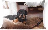 Buitenkussens - Tuin - Rottweiler pup ligt op een zacht kussen - 50x30 cm