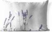 Buitenkussens - Tuin - Kleine paarse lavendelbloemen tegen een grijze lucht - 60x40 cm