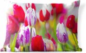 Buitenkussens - Tuin - Close-up van gekleurde tulpen - 50x30 cm