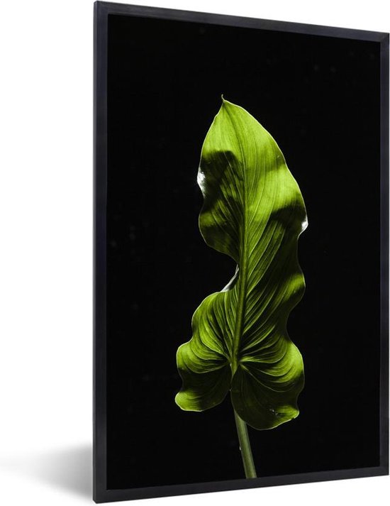 Fotolijst incl. Poster - Een groen blad op zwarte een achtergrond - 20x30 cm - Posterlijst