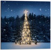 Dibond - Verlichte Kerstboom in Sneeuwende Nacht - 50x50cm Foto op Aluminium (Wanddecoratie van metaal)