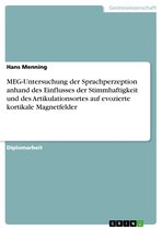 MEG-Untersuchung der Sprachperzeption anhand des Einflusses der Stimmhaftigkeit und des Artikulationsortes auf evozierte kortikale Magnetfelder