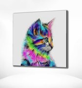 Painting Expert® Schilderen op nummer Volwassenen – Schilderen op nummer Kinderen - Kitten - 40x50cm - Op Lijst Gemonteerd (24 kleurtjes)