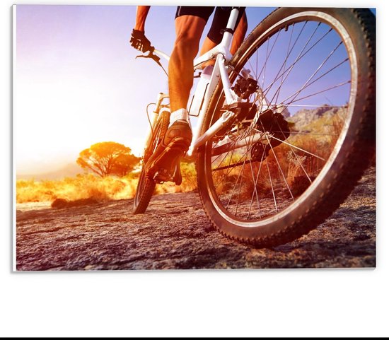 Forex - Achterwiel van Mountainbiker - 40x30cm Foto op Forex