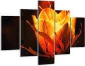 Glasschilderij -  Tulp - Oranje, Zwart, Geel - 100x70cm 5Luik - Geen Acrylglas Schilderij - GroepArt 6000+ Glasschilderijen Collectie - Wanddecoratie- Foto Op Glas