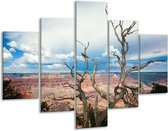 Peinture sur verre Nature | Bleu blanc | 100x70cm 5Liège | Tirage photo sur verre |  F001217