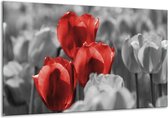 Schilderij Op Canvas Tulpen - Rood, Grijs, Zwart - 120x70cm 1Luik - Foto Op Canvas - GroepArt 6000+ Schilderijen 0p Canvas Art Collectie - Wanddecoratie - Woonkamer - Slaapkamer - Canvas Print