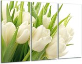 GroepArt - Schilderij -  Tulpen - Wit, Groen - 120x80cm 3Luik - 6000+ Schilderijen 0p Canvas Art Collectie