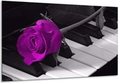 Peinture sur verre rose | Violet, noir, blanc | 120x70cm 1Hatch | Tirage photo sur verre |  F003591
