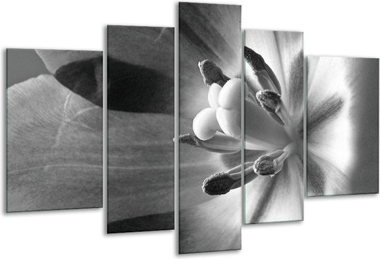 Glas schilderij Bloem | Zwart, Wit, Grijs | | Foto print op Glas |  F006389
