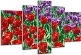 Peinture sur verre tulipe | Rouge, violet, vert | 170x100cm 5 Liège | Tirage photo sur verre |  F002653