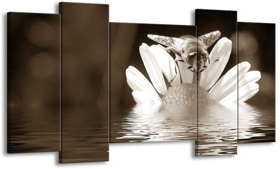 GroepArt - Schilderij - Bloem - Sepia, Bruin - 120x65cm 5Luik - Foto Op Canvas - GroepArt 6000+ Schilderijen 0p Canvas Art Collectie - Wanddecoratie