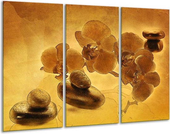 Glasschilderij Orchidee - Bruin - 120x80cm 3Luik - Foto Op Glas - Geen Acrylglas Schilderij - GroepArt 6000+ Glas Art Collectie - Maatwerk Mogelijk