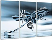 Glasschilderij Bloem, Roos - Blauw, Zilver - 120x80cm 3Luik - Foto Op Glas - Geen Acrylglas Schilderij - GroepArt 6000+ Glas Art Collectie - Maatwerk Mogelijk