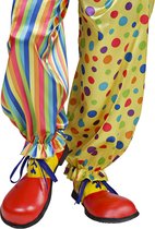 "Clown schoenen voor volwassenen  - Verkleedattribuut - One size"