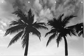 2 Palmbomen zwart wit - Foto op Tuinposter - 150 x 100 cm