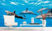 Dimex Dolphins Vlies Fotobehang 375x250cm 5-banen