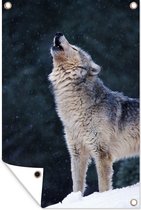 Tuinposter - Tuindoek - Tuinposters buiten - Wolf - Sneeuw - Dier - 80x120 cm - Tuin