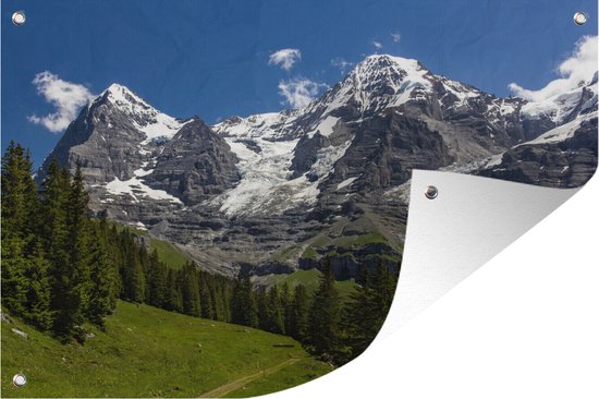 Bossen voor de bergen de Eiger en Monch in Zwitserland Tuinposter 60x40 cm Buitencanvas / Schilderijen voor buiten (tuin decoratie)
