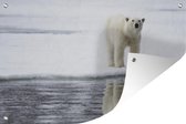 Poster Ours polaire au bord de l'eau 120x80 cm - Toile de jardin / Toile d'extérieur / Peintures d'extérieur (décoration de jardin)