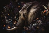 Glasschilderij - olifant - vogels - 160x110 cm - Wanddecoratie